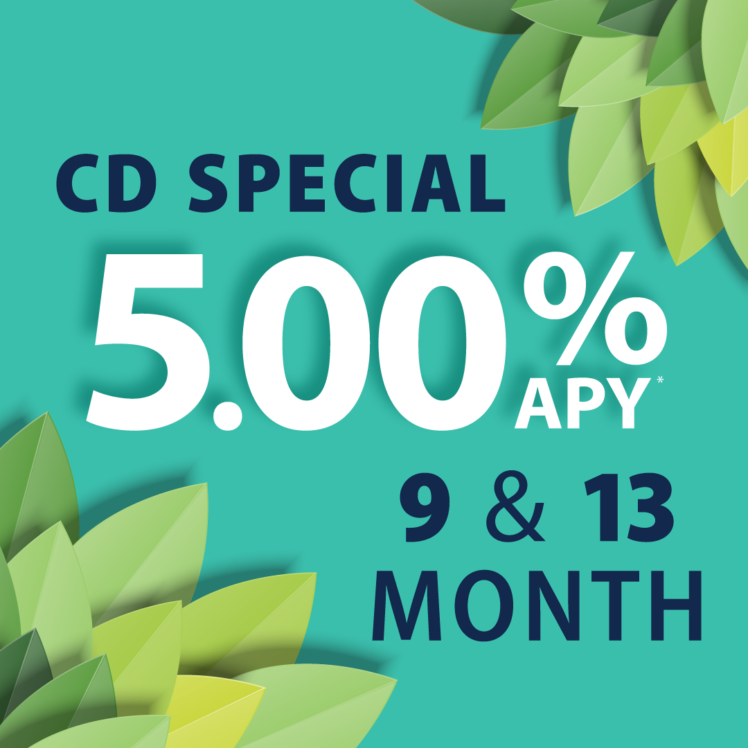 9 and 13 month CD special