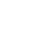 Currency exchange 50 plus currencies
